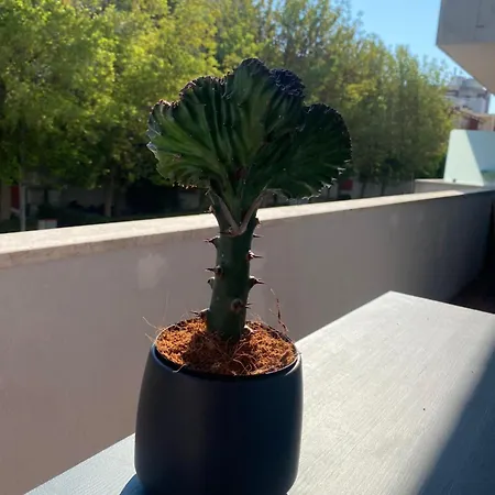 Casettadellafotografia Сенигаллия